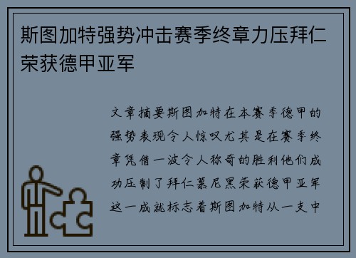 斯图加特强势冲击赛季终章力压拜仁荣获德甲亚军